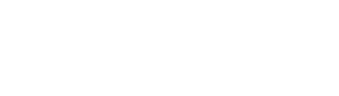 stronix logo white